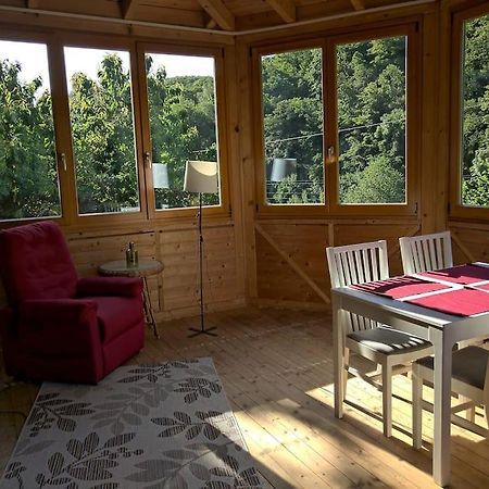 Idyllische Ferienwohnung In Zentrumsnaehe Drezno Zewnętrze zdjęcie
