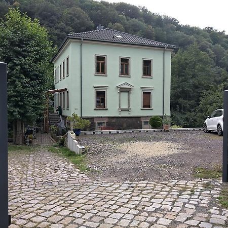 Idyllische Ferienwohnung In Zentrumsnaehe Drezno Zewnętrze zdjęcie
