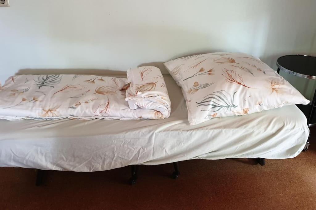 Idyllische Ferienwohnung In Zentrumsnaehe Drezno Zewnętrze zdjęcie