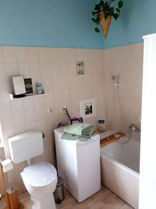 Idyllische Ferienwohnung In Zentrumsnaehe Drezno Zewnętrze zdjęcie